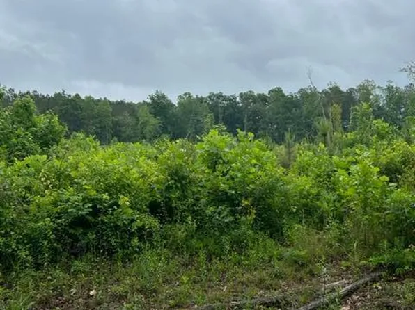 0 Davis Ln, Old Fort, TN 37362