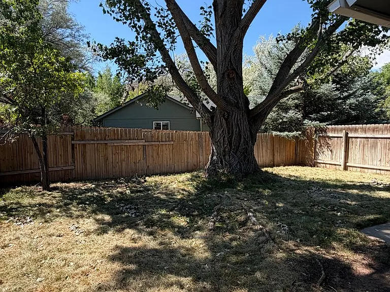 460 Palmetto Dr — Photo 18