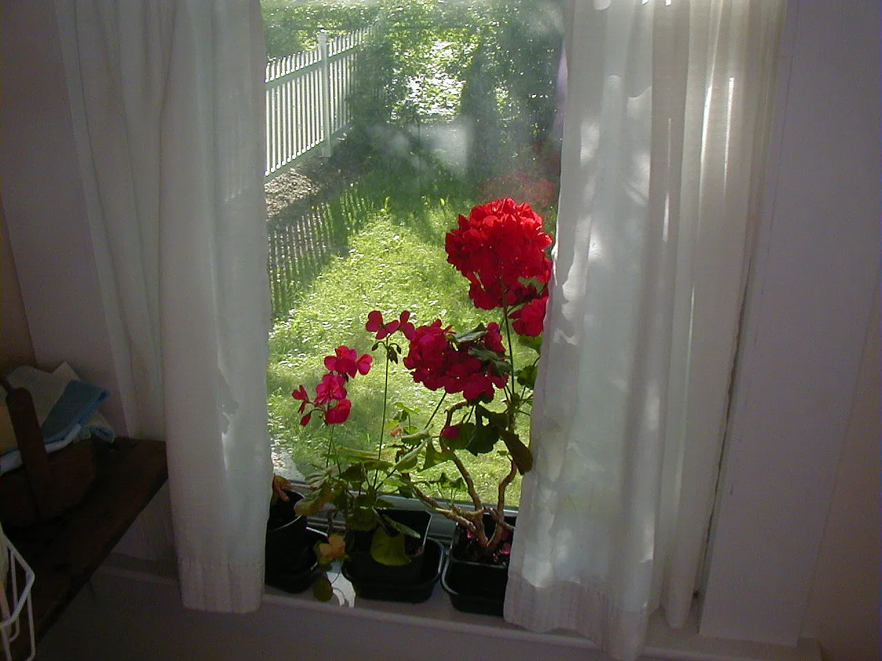 3 bed, 1.5 bath, $3,250 — Photo 1