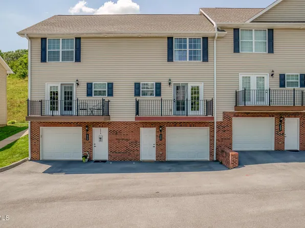 668 Grays Pointe Ct #668, Johnson City, TN 37615