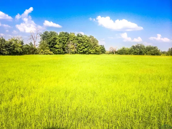 Mule Deer Rd, Gilmer, TX 75644