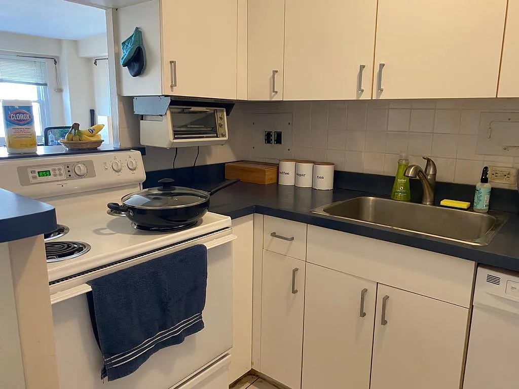 1 bed, 800 sqft, $2,000 — Photo 3