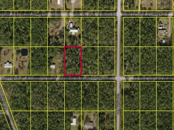 4220 Isaac Street, Hastings, FL 32145