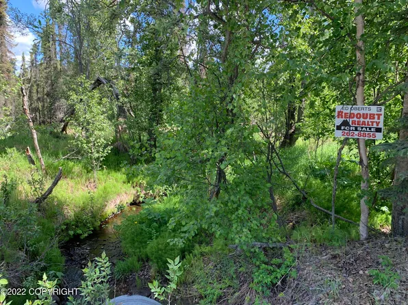 TRACT Silver Salmon Dr #A, Kenai, AK 99611