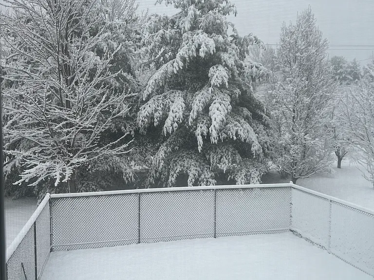 High Fenced in area