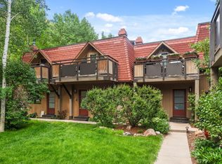 108 W Hyman Ave APT 2, Aspen, CO 81611