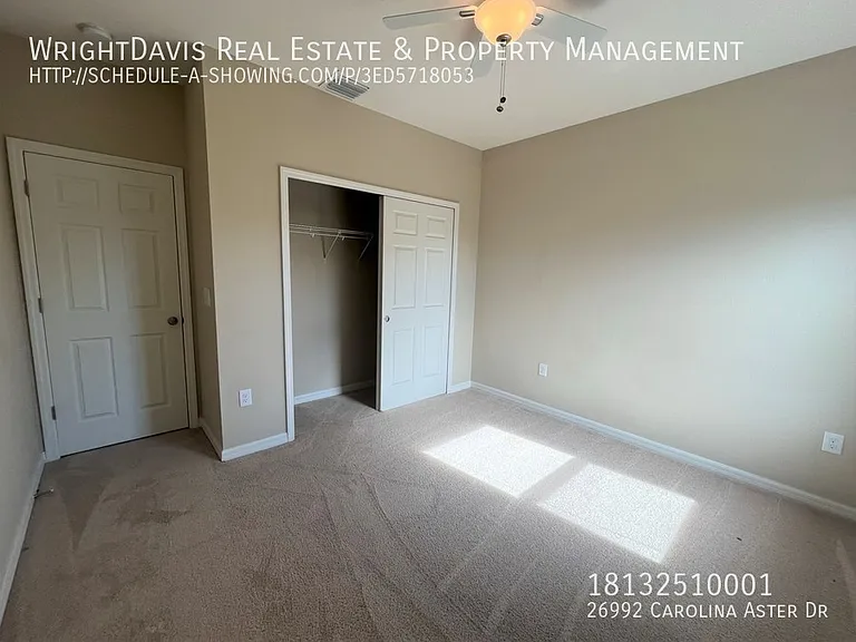 26992 Carolina Aster Dr — Photo 31
