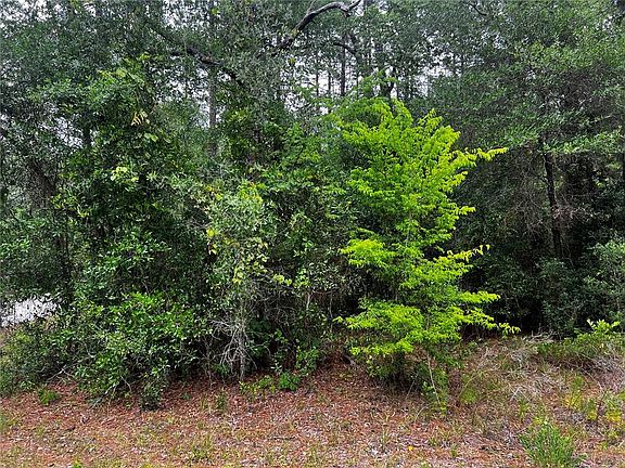 5th image of SW 186th Ct Lot 9