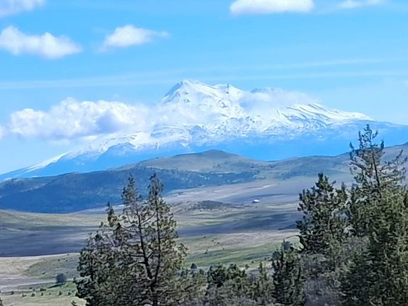 2nd image of LOT 768 Ruff Way