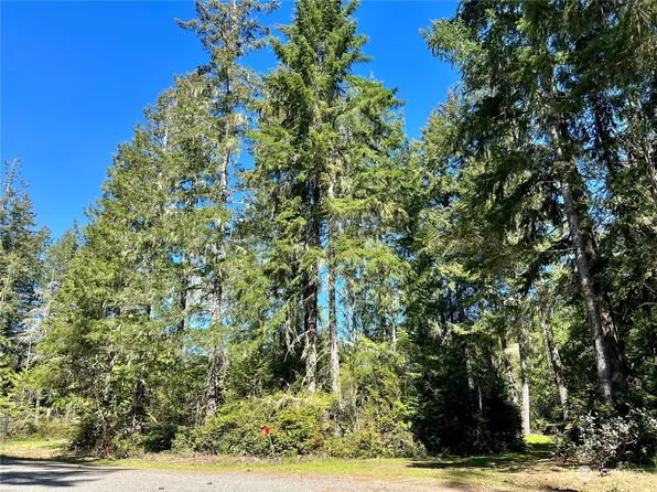 161 King Drive, Brinnon, WA 98320