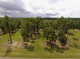 206 Pinchback Dr, Anahuac, TX 77514
