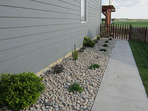 Perrenials on West Walkway