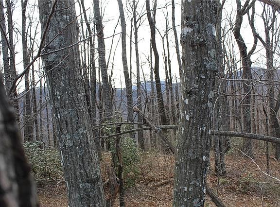 5th image of 204 Catawba Falls Pkwy