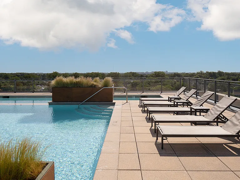 Enjoy your rooftop and lounge poolside