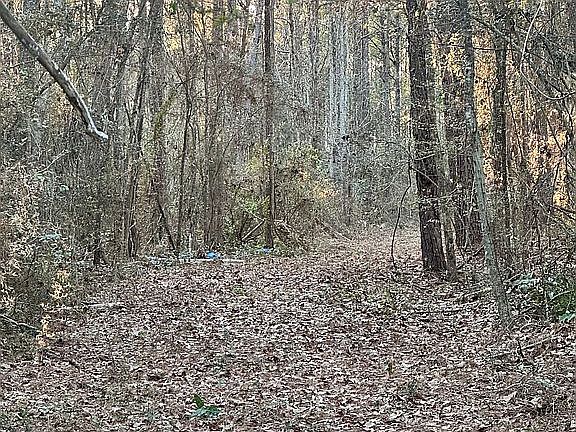 3rd image of 365 Burgetown Rd