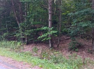 185 Eagle Mountain Rd, Summit, NY 12175