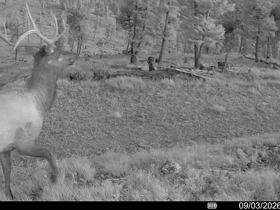 016686000428019 100 3 09032026202707 Ofv Syfw02015 Jpg