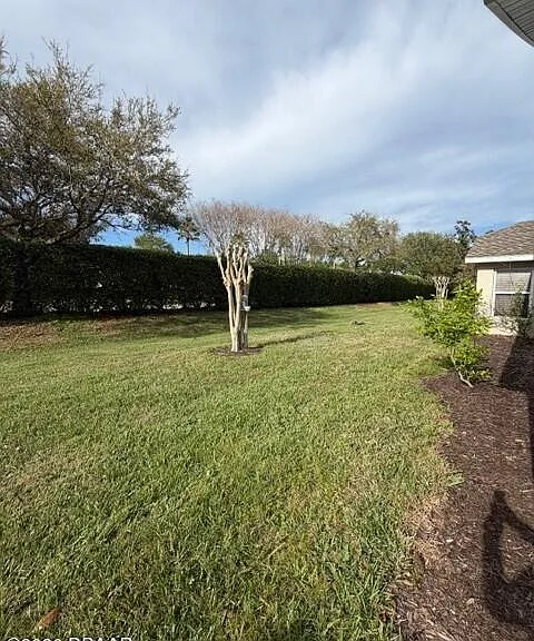 1459 Areca Palm Dr — Photo 7