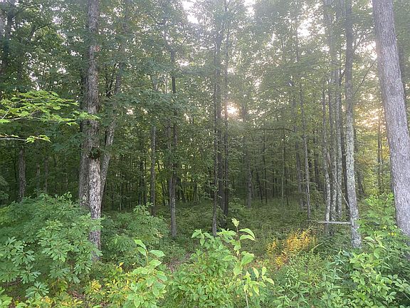 5th image of Bear Knob Ln