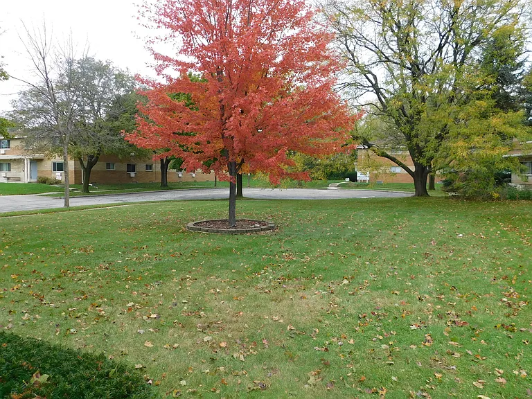 2910 E Bolivar Ave — Photo 2