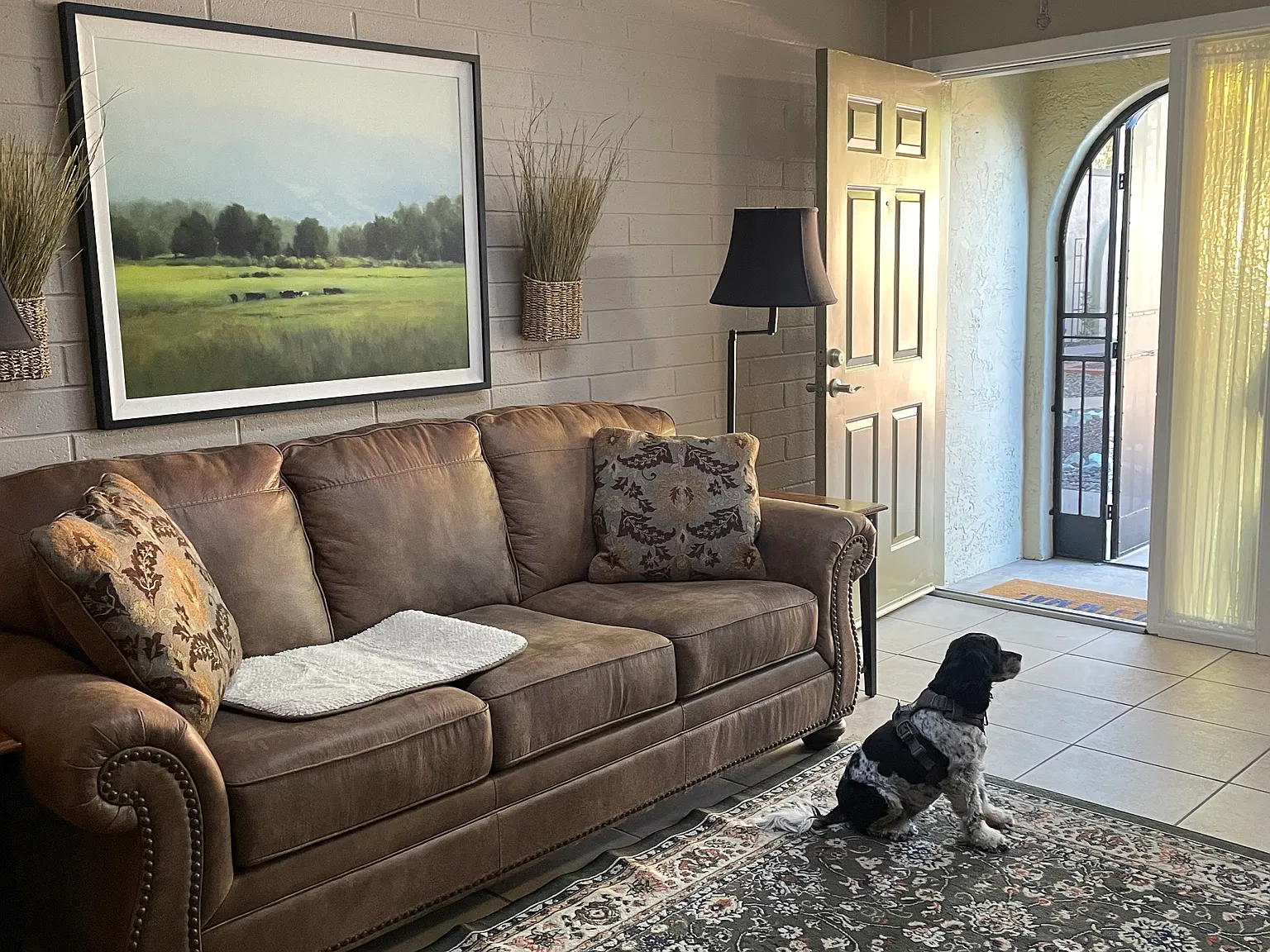 1 bed, 554 sqft, $1,300 — Photo 1