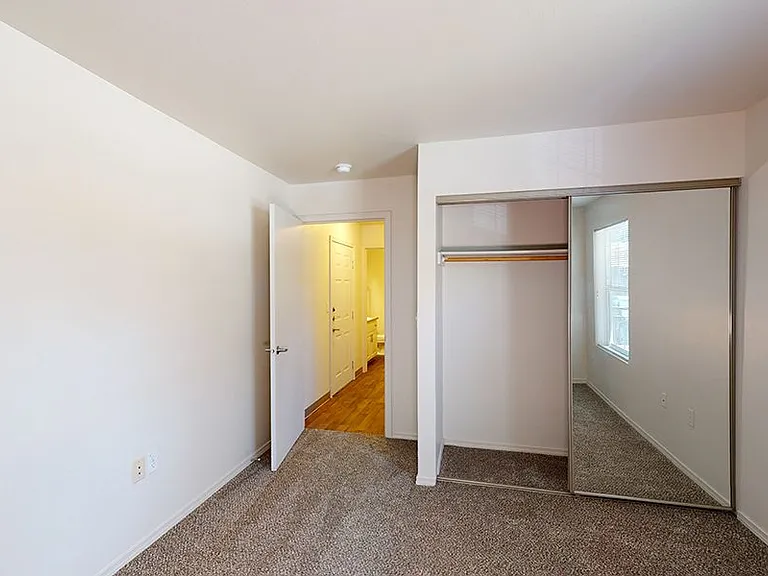 Spacious apartment bedroom with plush carpet flooring.