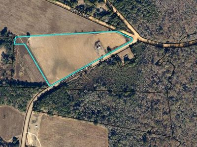 4451 Wilkie Mosley Rd, Blakely, GA, 39823