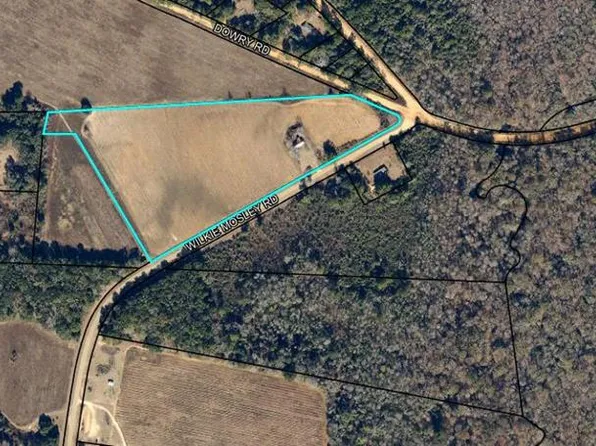 4451 Wilkie Mosley Rd, Blakely, GA 39823
