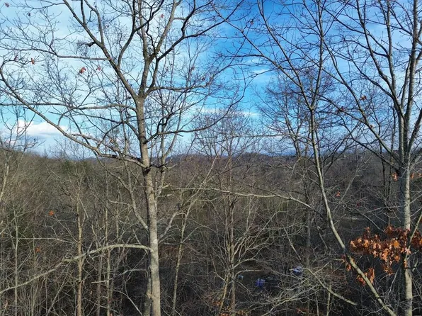 2 Century Ln, Blue Ridge, GA 30513