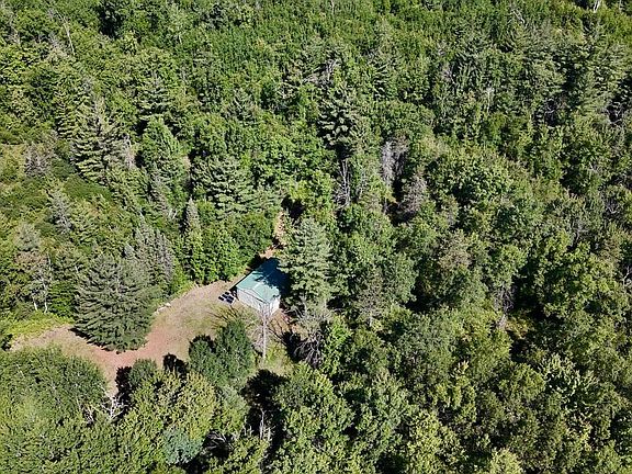 4th image of 4473 Hamilton Dr