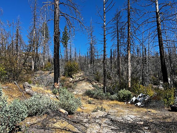 2nd image of Bald Rock Rd