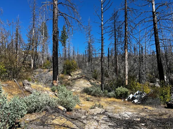 Bald Rock Rd, Berry Creek, CA 95916