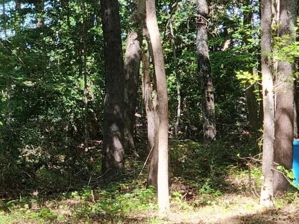 0 Wise Ln, Mattaponi, VA 23110