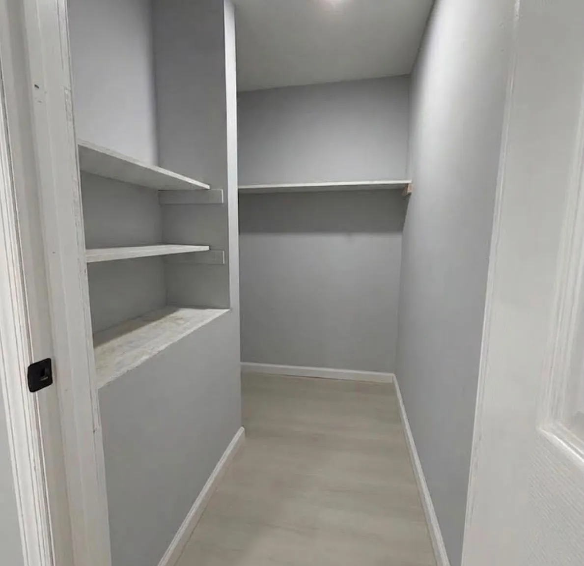 2 bed, 740 sqft, $1,950 — Photo 3