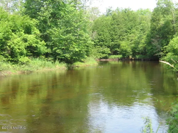 8965 N Waterwonderland Ct, Branch, MI 49402