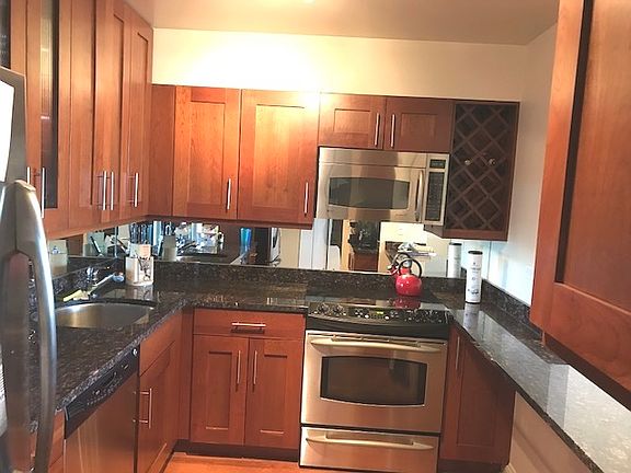 4th image of 1560 N Sandburg Ter APT 1211J