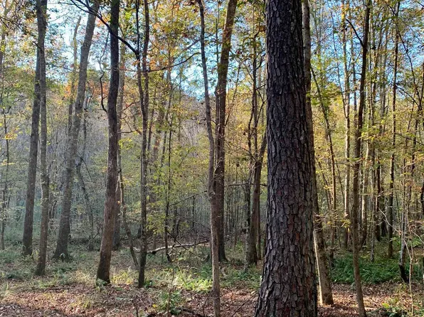 0 Springfield Rd, Sparta, GA 31087