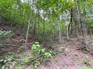 1127 Clingmans Vw, Sevierville, TN 37876