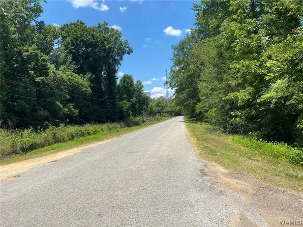 0 Steam Plant Rd, Forkland, AL 36740