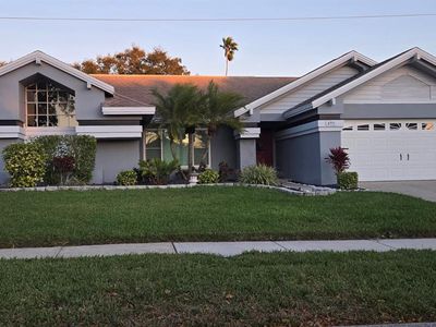 695 House Wren Cir, Palm Harbor, FL, 34683