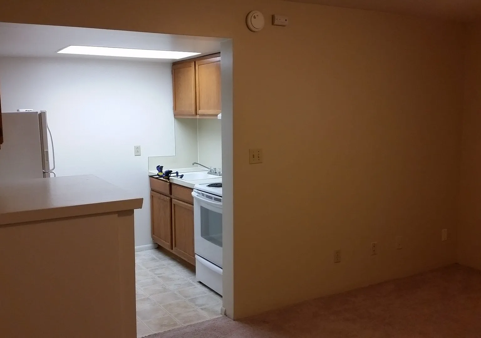Illiad — Photo 2
