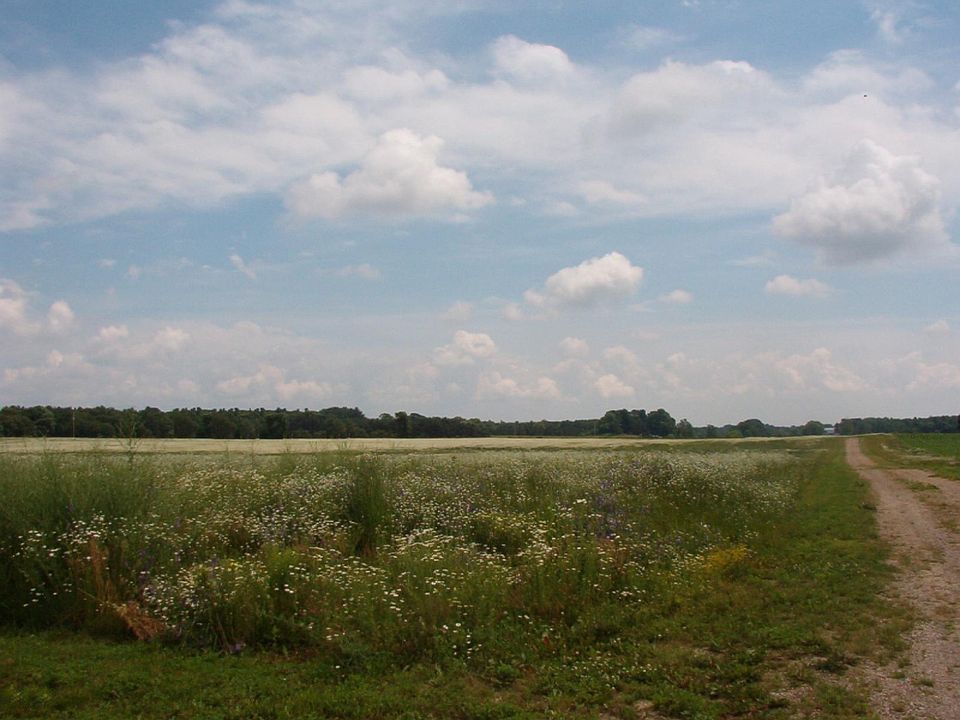 2nd image of 2154 Seventeen Mile Rd #A