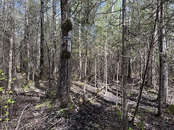 4th image of 30550 S Dix Point Rd