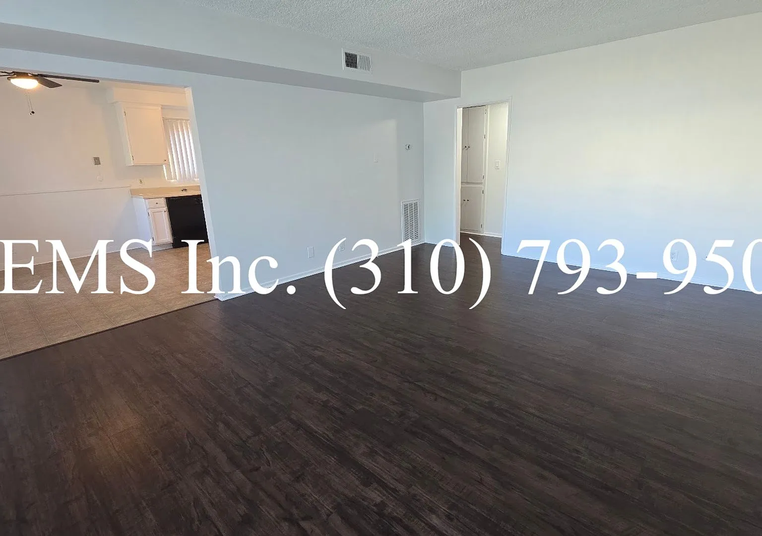 lis01 — Photo 4