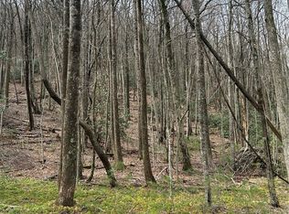 58 Wilderness Reserve Parkway, Deep Gap, NC 28618