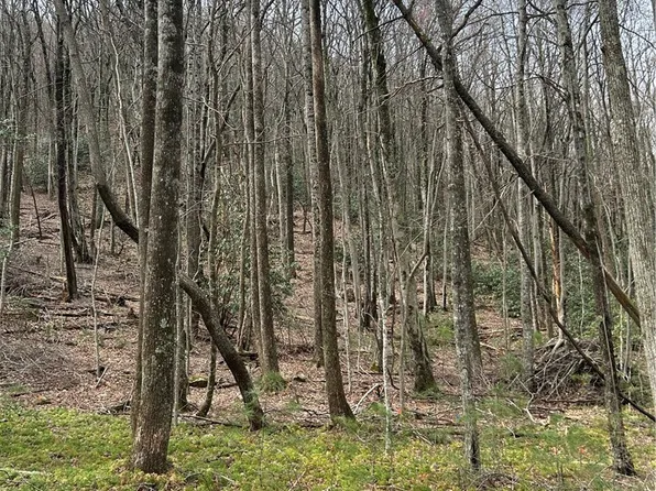 58 Wilderness Reserve Parkway, Deep Gap, NC 28618