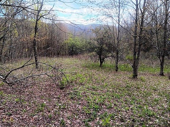 3rd image of 1122 W Hill Rd