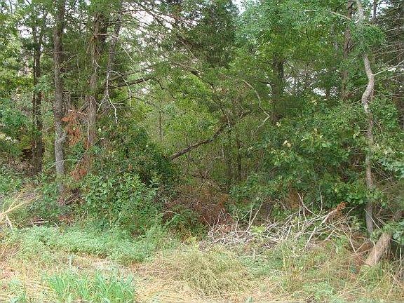 2nd image of 525 Cedar Meadow Ln