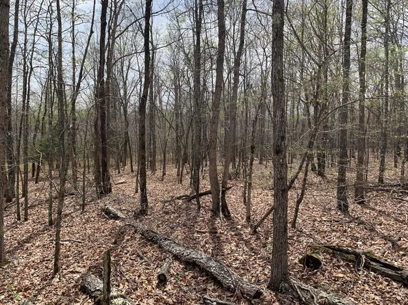 000 County Road 152, Doniphan, MO 63935