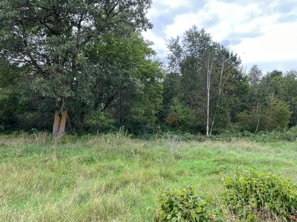 112 Th St, Pillager, MN 56473